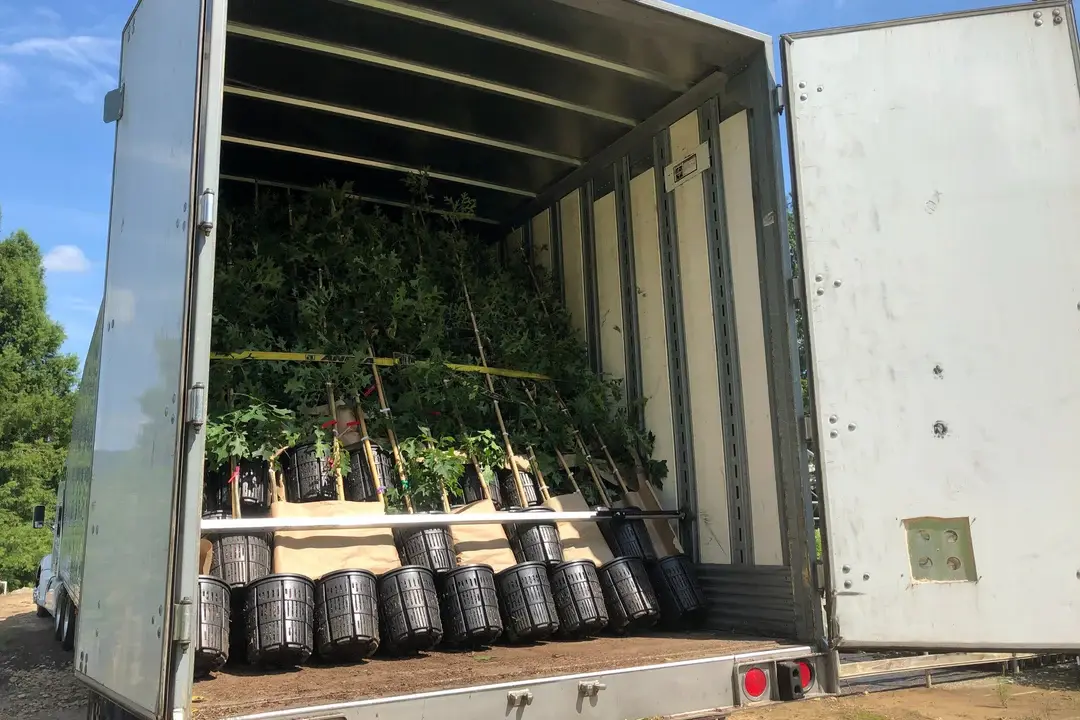 Shipping and logistics for plant delivery
