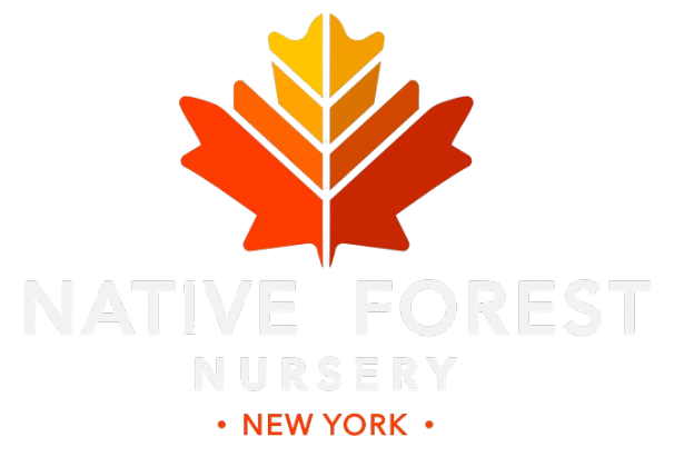 Native Forest Nursery New York