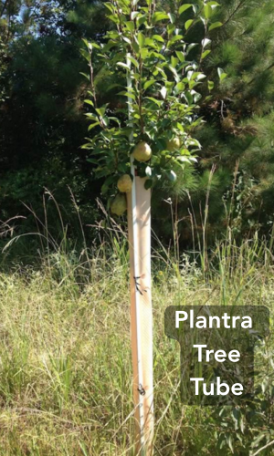 Plantra protective tree tubes