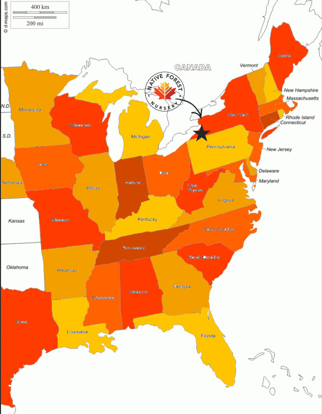 Native Forest New York Service Area Map