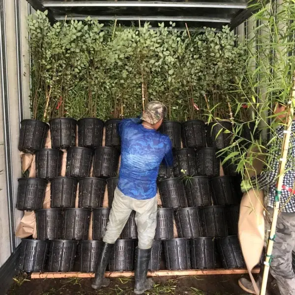 Native Forest Nursery